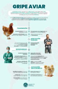 Infografía sobre gripe aviar